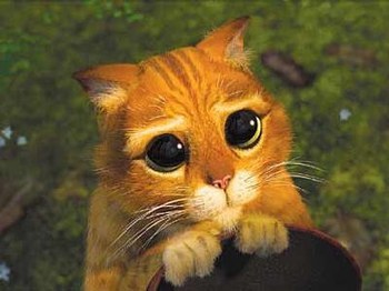 il f&eacute; ses yeux doux pour obtenir ce quil ve