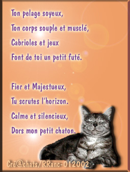 pour toi caramel